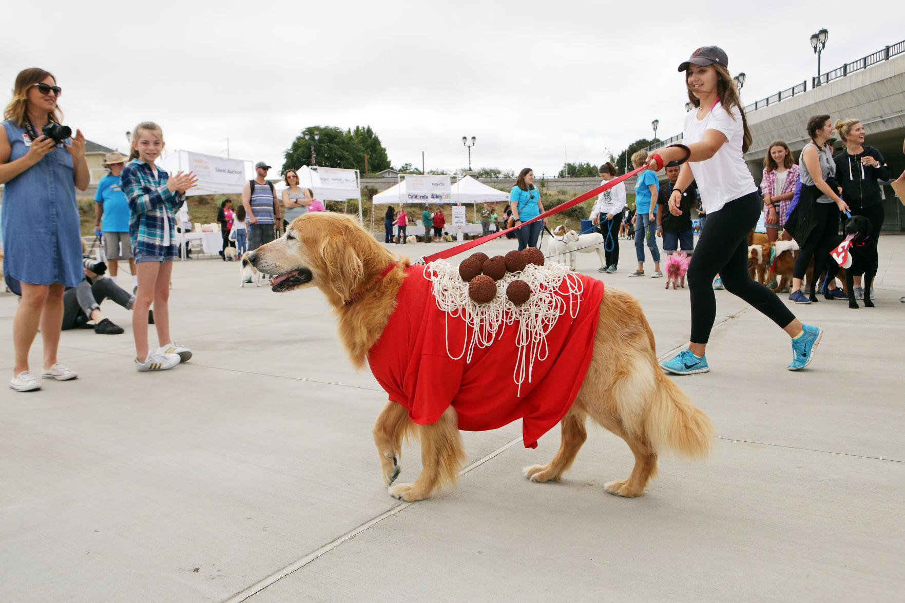 Napa Humane Walk for Animals 2017